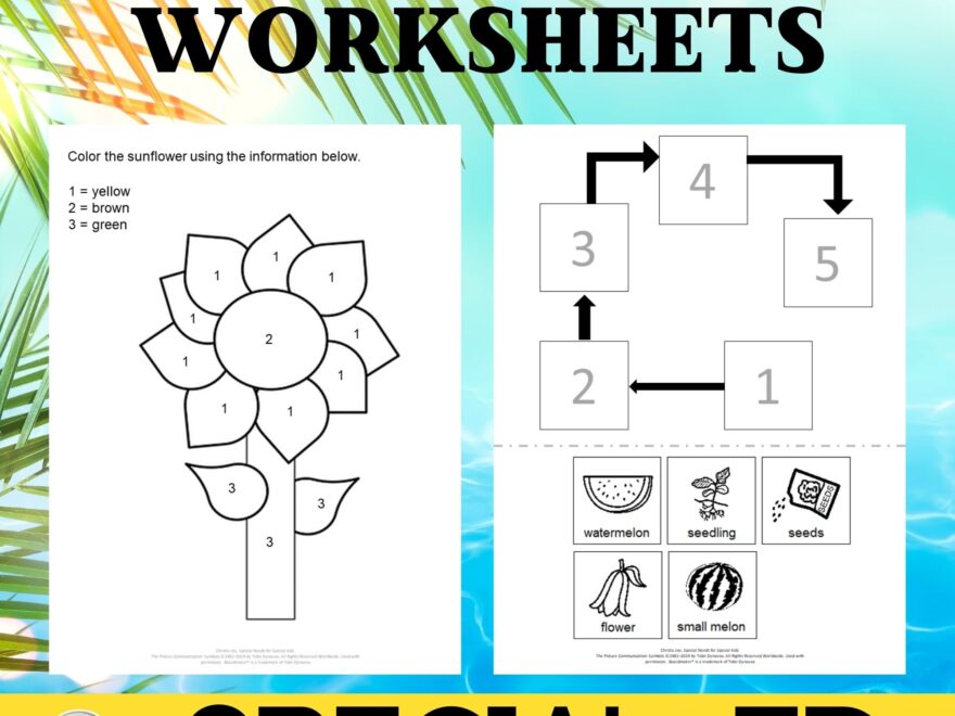 60 No Prep Summer Worksheets For Special Education Math Ela Science Worksheets