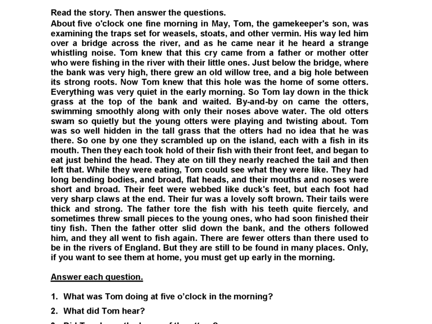 Fifth Grade Reading