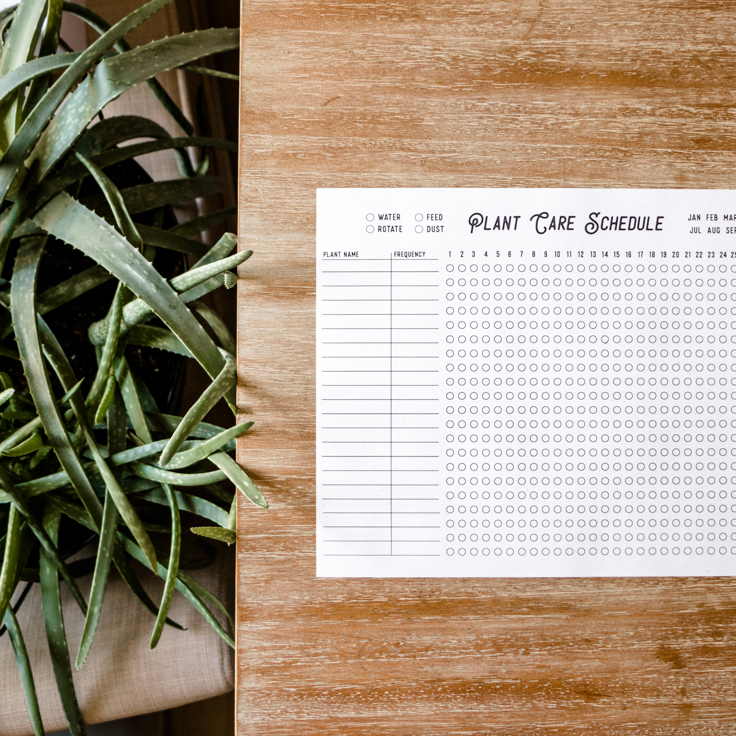 Plant Watering Schedule Free Printable Plant Watering Schedule Free Printable