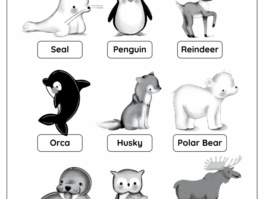Polar Animals